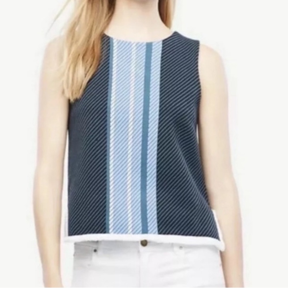 NWT Ann Taylor Striped Sleeveless Fringe Sweater